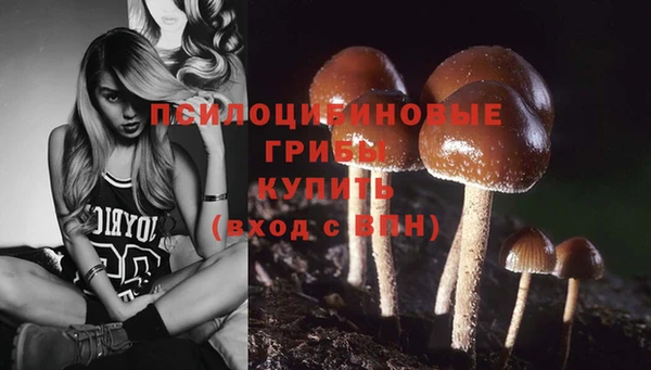 apvp Аркадак