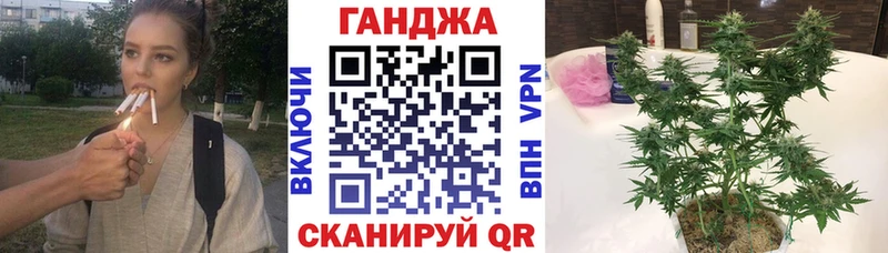 Шишки марихуана гибрид  блэк спрут сайт  Людиново 